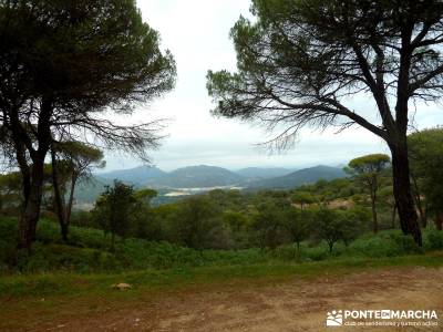 Garganta de Picadas - Vía Verde del Alberche; excursiones de un día;excursiones viajes